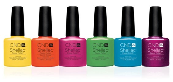 shellac 1